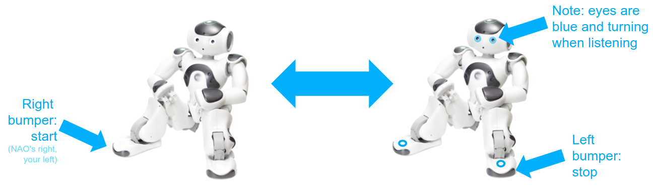 NAO bumper diagram